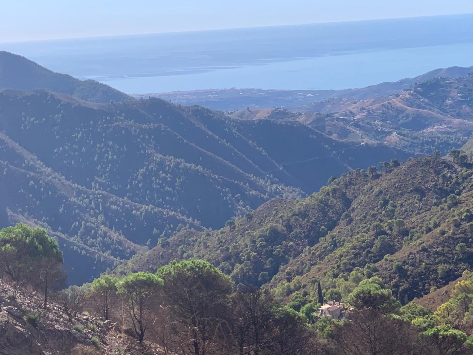 Finca El Almendro 말라가 외부 사진
