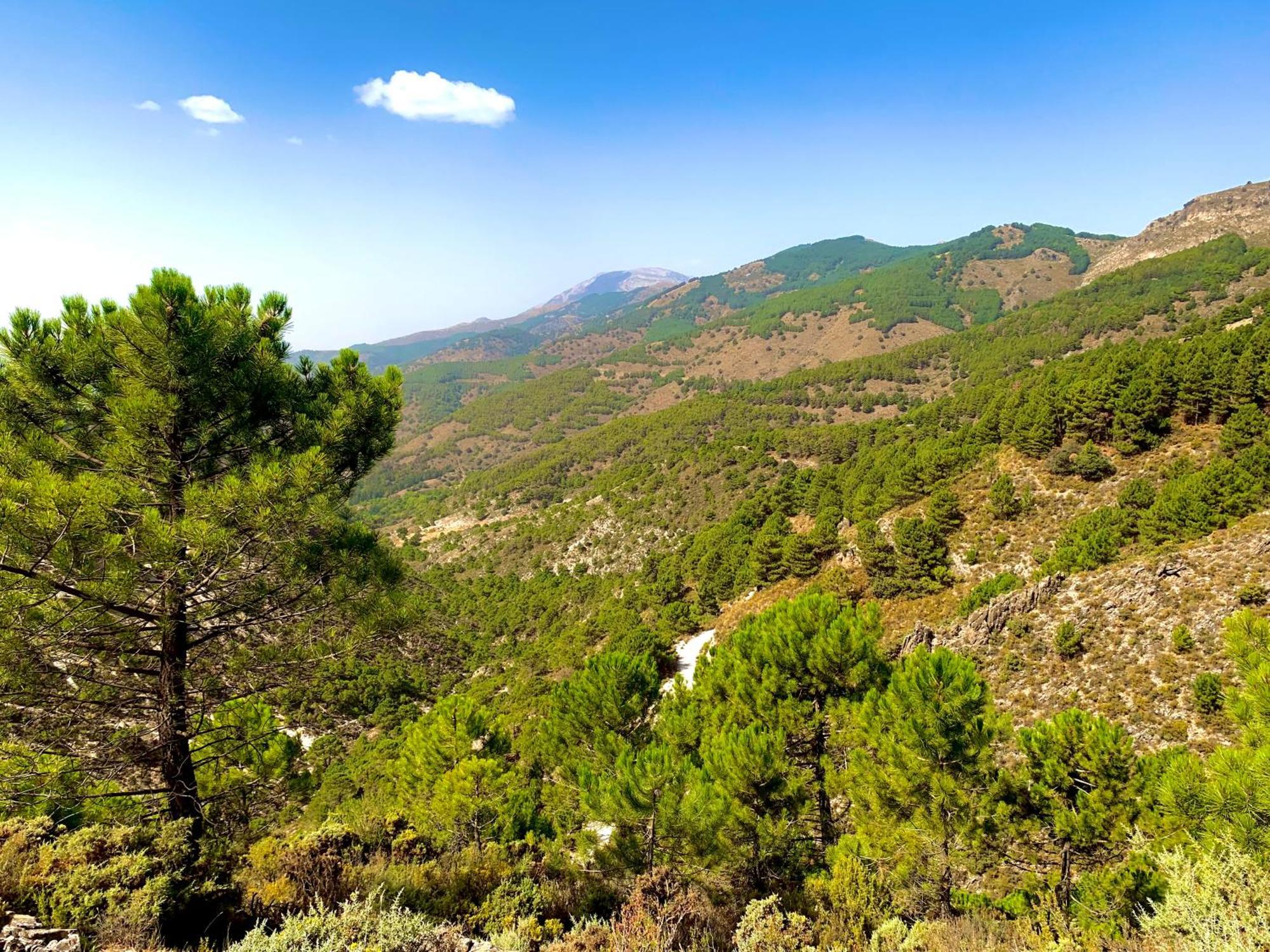 Finca El Almendro 말라가 외부 사진